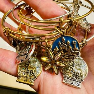 A Group of 6 Alex and Ani Rafaelian and Silver Holiday Charm Bracelets 🎁